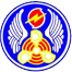 Chinese Air Force
